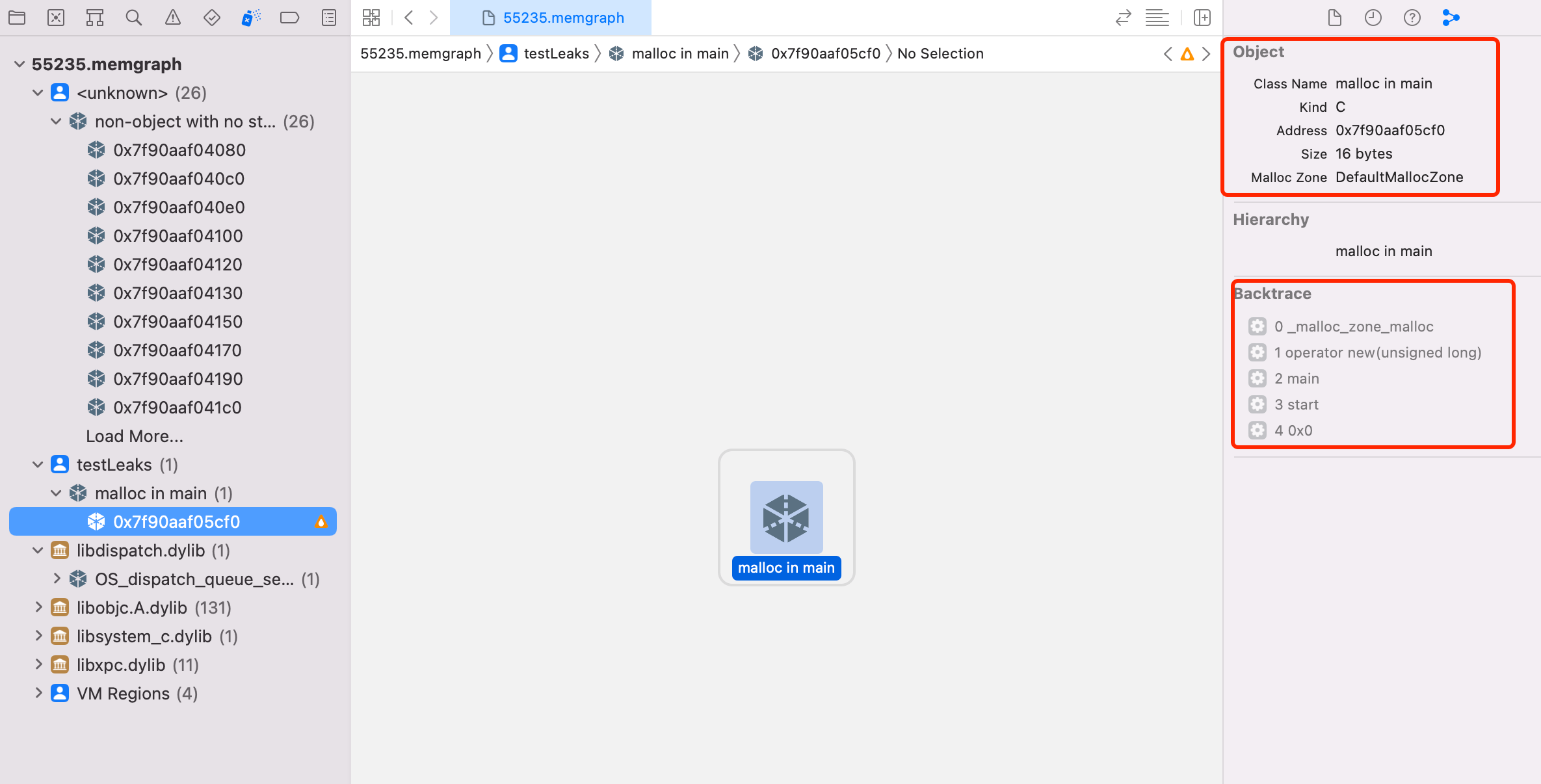 Xcode Memory Graph Debugger