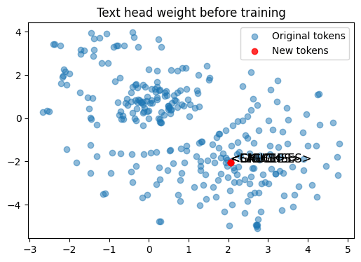 Text head weight before training